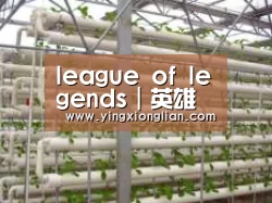 环境展示六