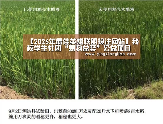 LoL投注网站直播