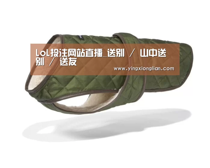 2026年最佳英雄联盟投注网站